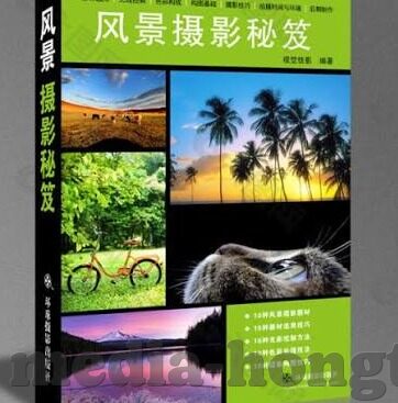 91aaa麻豆-视觉文化的多样性，麻豆文化与91AAA平台的浅探