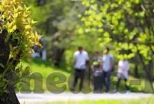 96人妻-96人妻，传统与现代交织的婚姻观照