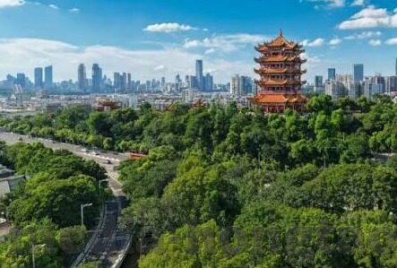 伦理片天堂eeuss影院-伦理片天堂eeuss影院的独特魅力与文化价值