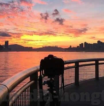 糖心vlog官网入口贴吧-为何追逐糖心vlog官网，背后的贴吧热议
