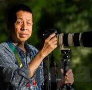 糖心vlog破解版无限vip-探索解密，揭秘糖心vlog与破解版无限VIP的真相